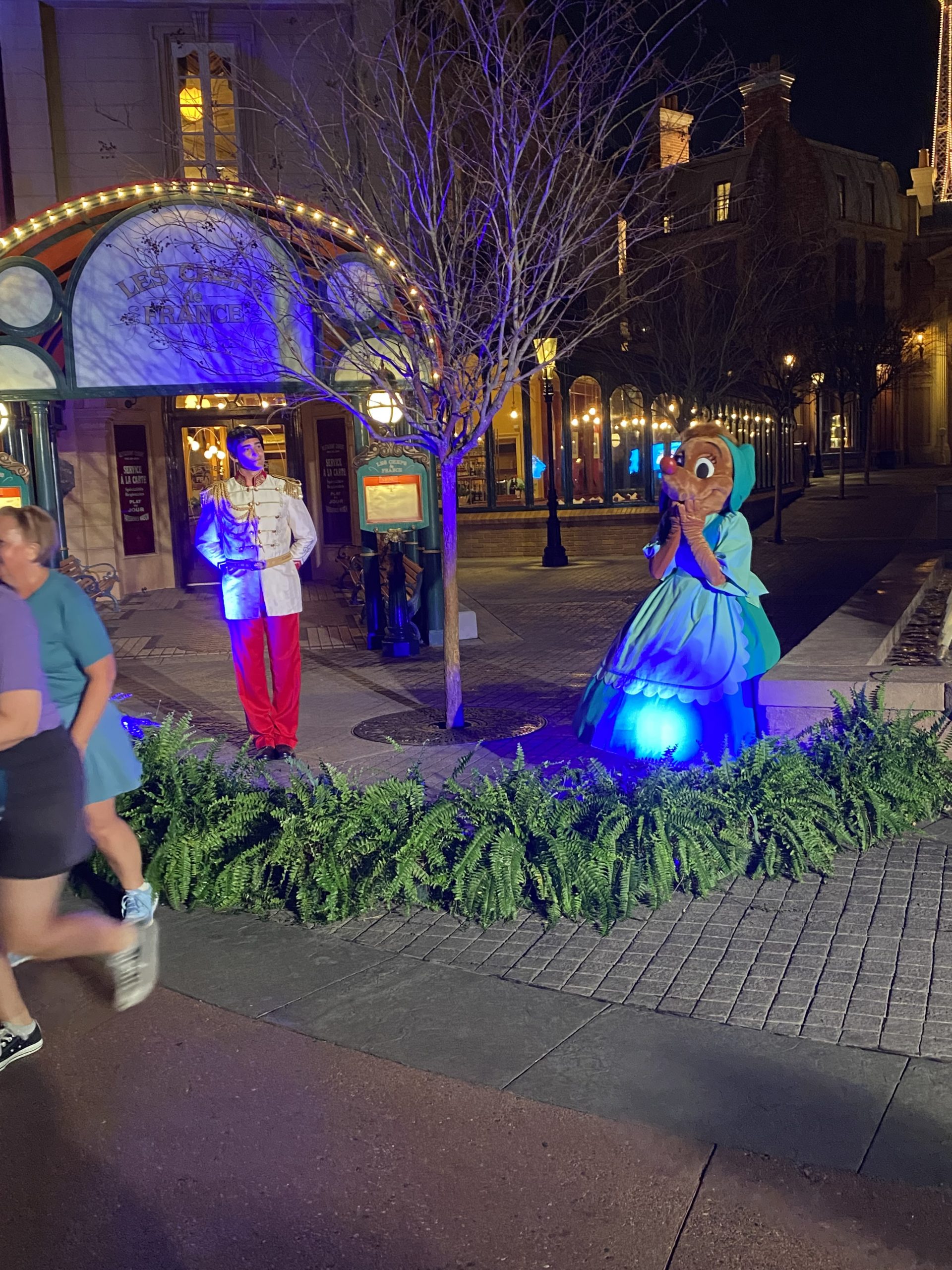 Prince Charming and mouse