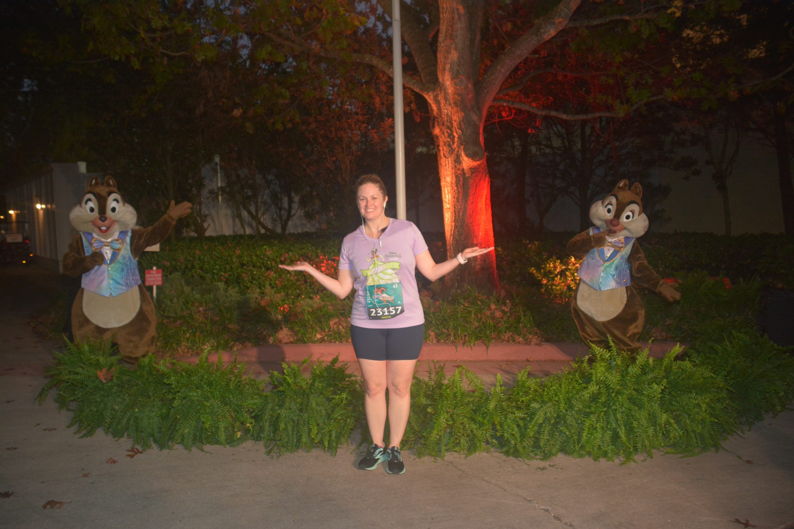 50th Anniversary Chip and Dale